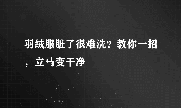 羽绒服脏了很难洗？教你一招，立马变干净