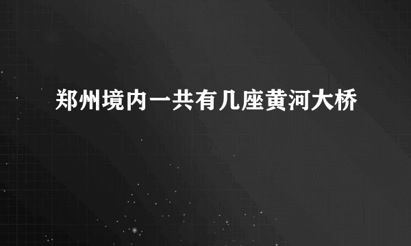 郑州境内一共有几座黄河大桥