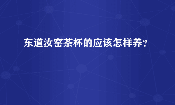 东道汝窑茶杯的应该怎样养？