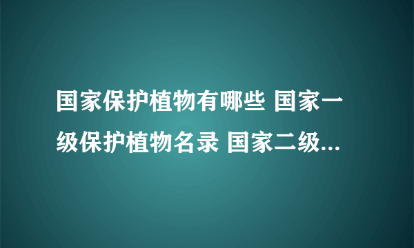 国家保护植物有哪些 国家一级保护植物名录 国家二级保护植物名单