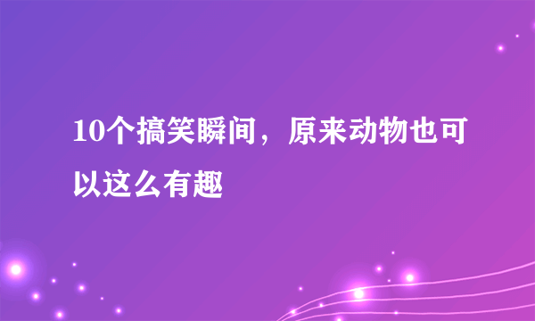 10个搞笑瞬间，原来动物也可以这么有趣