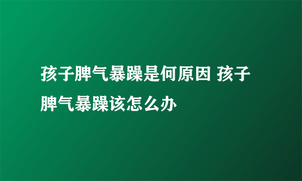 孩子脾气暴躁是何原因 孩子脾气暴躁该怎么办