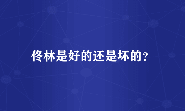 佟林是好的还是坏的？