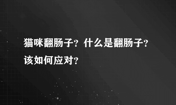 猫咪翻肠子？什么是翻肠子？该如何应对？