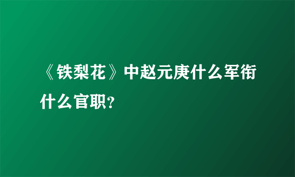 《铁梨花》中赵元庚什么军衔什么官职？