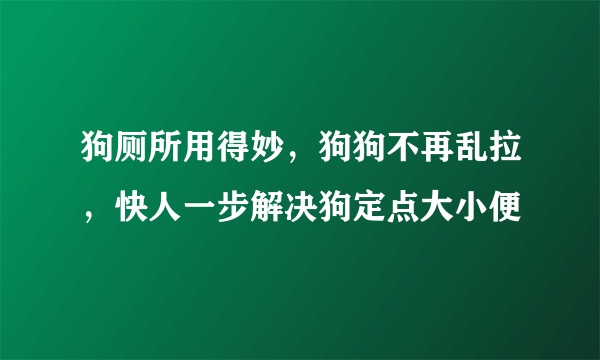 狗厕所用得妙，狗狗不再乱拉，快人一步解决狗定点大小便