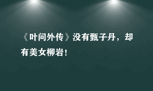 《叶问外传》没有甄子丹，却有美女柳岩！