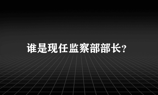 谁是现任监察部部长？