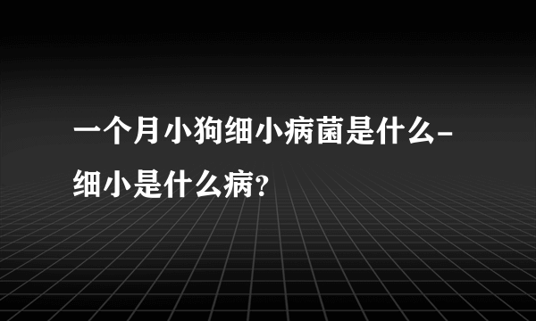 一个月小狗细小病菌是什么-细小是什么病？