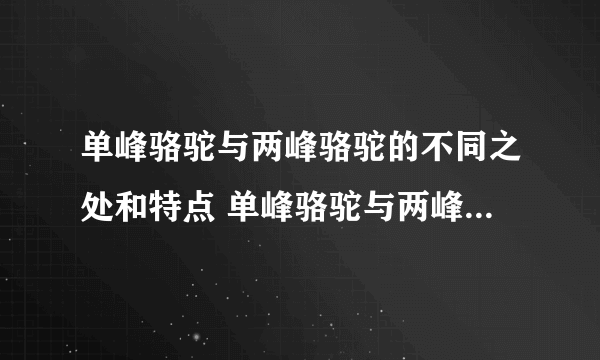 单峰骆驼与两峰骆驼的不同之处和特点 单峰骆驼与两峰骆驼的区别 单峰骆驼和双峰骆驼