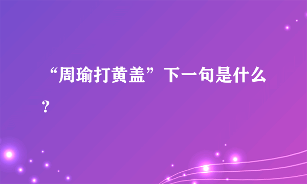 “周瑜打黄盖”下一句是什么？