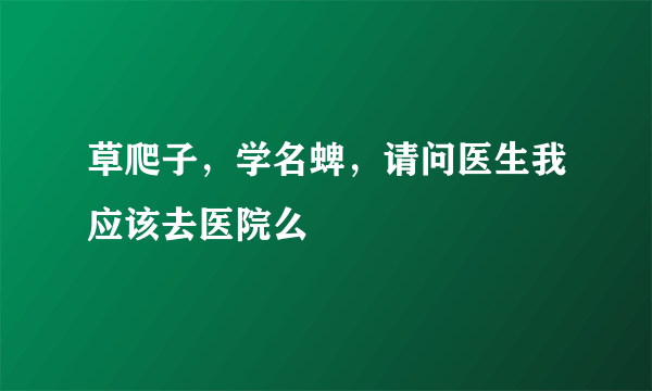 草爬子，学名蜱，请问医生我应该去医院么