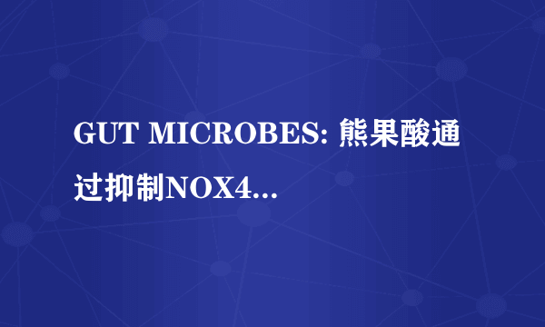 GUT MICROBES: 熊果酸通过抑制NOX4/NLRP3炎症小体通路和细菌失调逆转肝纤维化