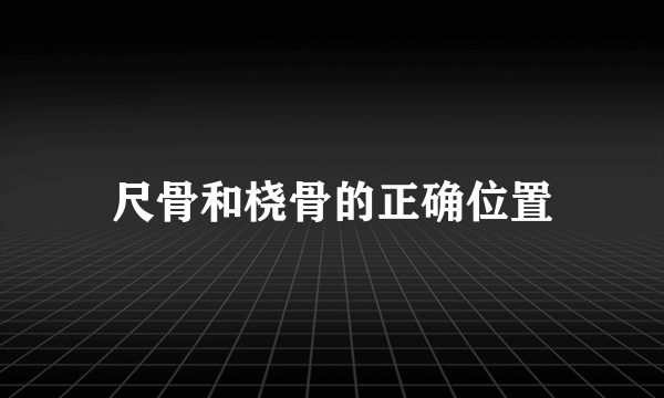 尺骨和桡骨的正确位置