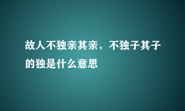 故人不独亲其亲，不独子其子的独是什么意思