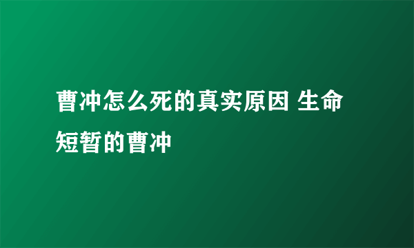 曹冲怎么死的真实原因 生命短暂的曹冲