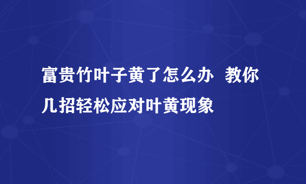 富贵竹叶子黄了怎么办  教你几招轻松应对叶黄现象