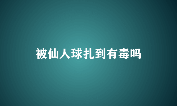 被仙人球扎到有毒吗