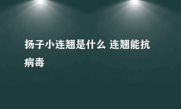 扬子小连翘是什么 连翘能抗病毒