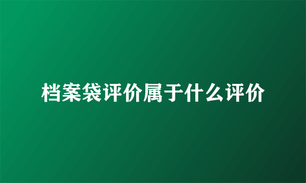 档案袋评价属于什么评价