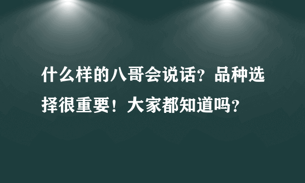 什么样的八哥会说话？品种选择很重要！大家都知道吗？