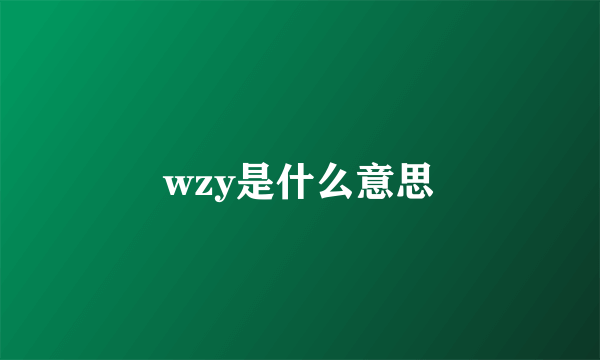 wzy是什么意思