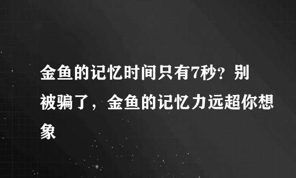 金鱼的记忆时间只有7秒？别被骗了，金鱼的记忆力远超你想象