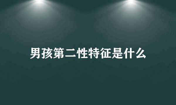 男孩第二性特征是什么