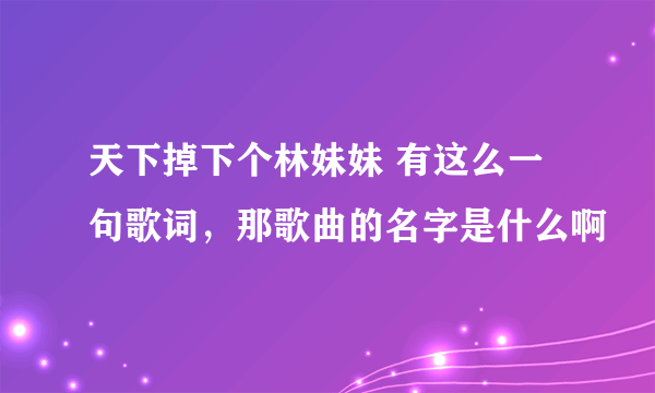 天下掉下个林妹妹 有这么一句歌词，那歌曲的名字是什么啊