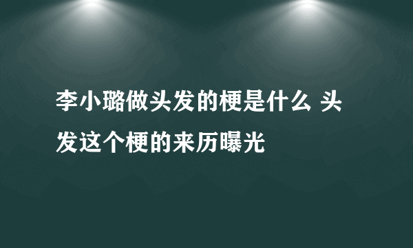 李小璐做头发的梗是什么 头发这个梗的来历曝光