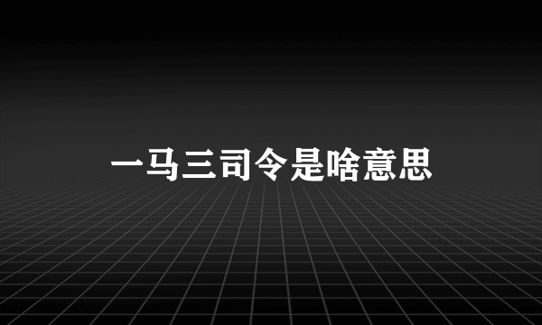 一马三司令是啥意思