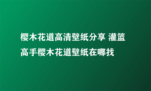 樱木花道高清壁纸分享 灌篮高手樱木花道壁纸在哪找