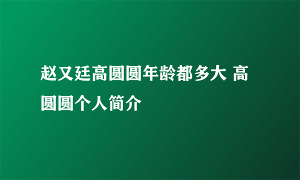 赵又廷高圆圆年龄都多大 高圆圆个人简介