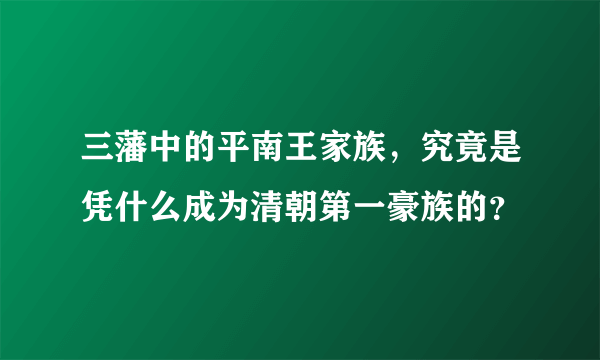 三藩中的平南王家族，究竟是凭什么成为清朝第一豪族的？