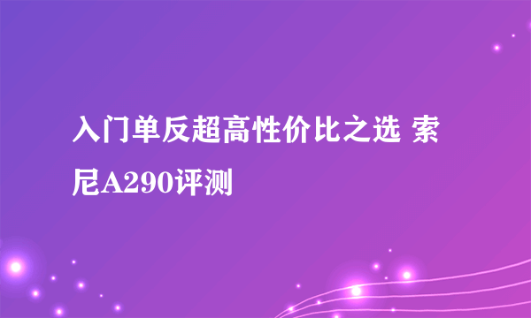 入门单反超高性价比之选 索尼A290评测