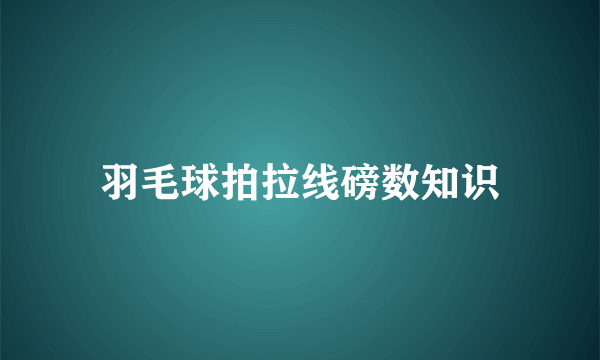 羽毛球拍拉线磅数知识