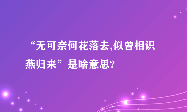 “无可奈何花落去,似曾相识燕归来”是啥意思?