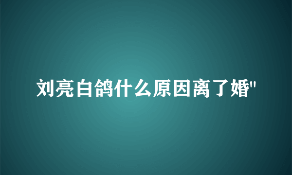 刘亮白鸽什么原因离了婚