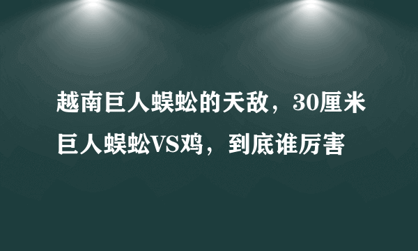 越南巨人蜈蚣的天敌，30厘米巨人蜈蚣VS鸡，到底谁厉害