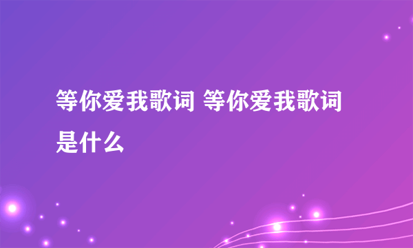 等你爱我歌词 等你爱我歌词是什么