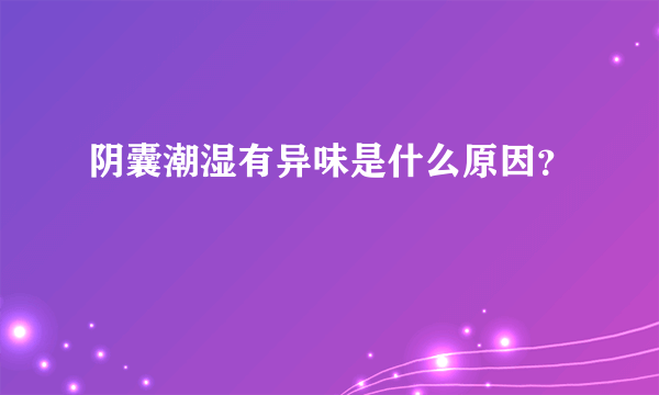 阴囊潮湿有异味是什么原因？