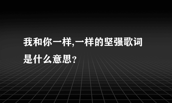 我和你一样,一样的坚强歌词是什么意思？