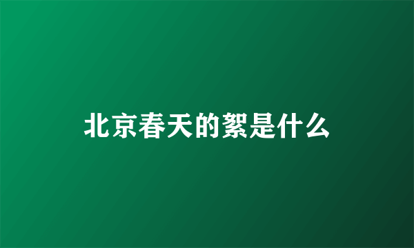 北京春天的絮是什么