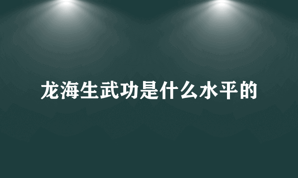 龙海生武功是什么水平的