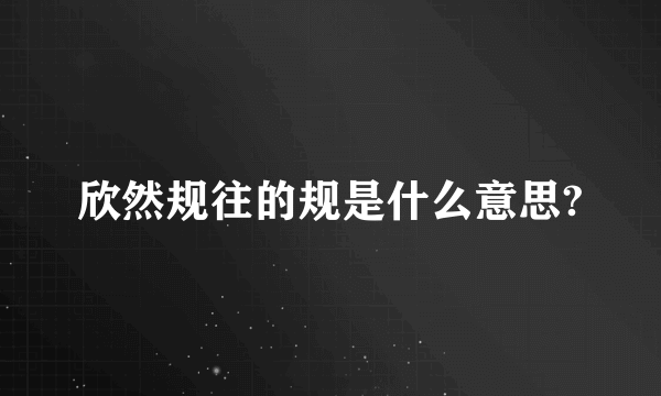 欣然规往的规是什么意思?