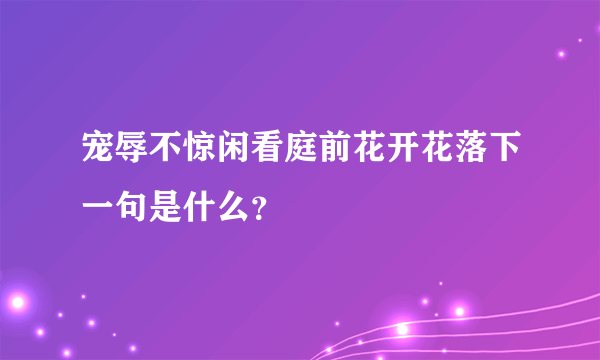 宠辱不惊闲看庭前花开花落下一句是什么？