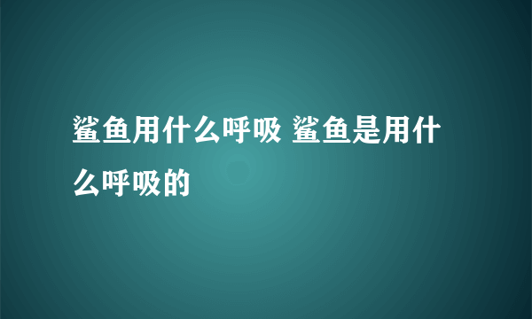 鲨鱼用什么呼吸 鲨鱼是用什么呼吸的