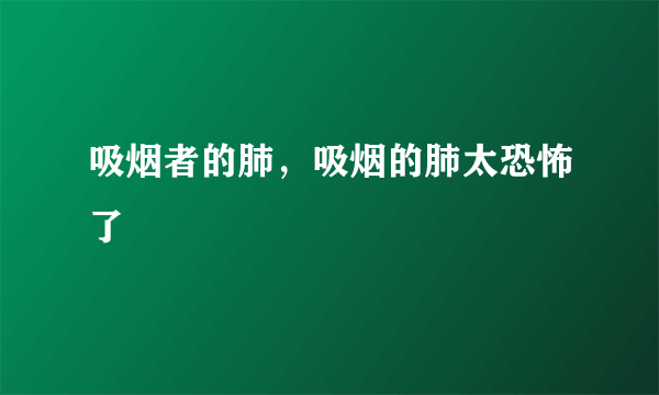 吸烟者的肺，吸烟的肺太恐怖了