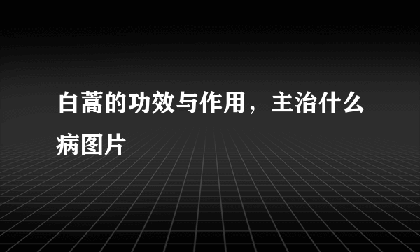 白蒿的功效与作用，主治什么病图片