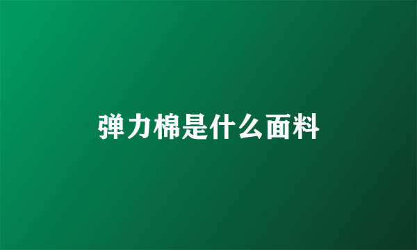 弹力棉是什么面料